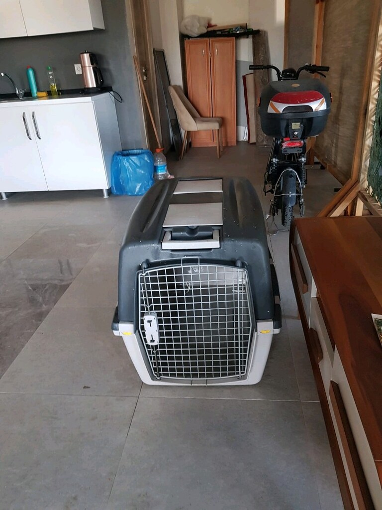 köpek taşıma çantası tekerlekli - 2