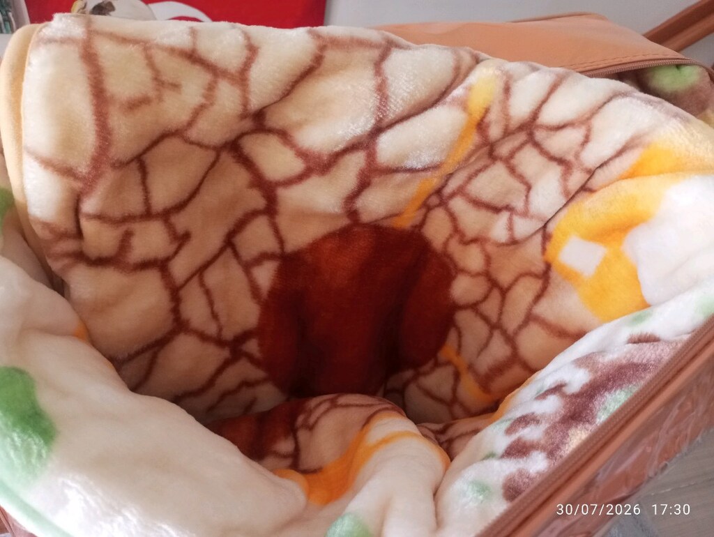 Dinarsu çift kişilik yeni pakette battaniye - 3