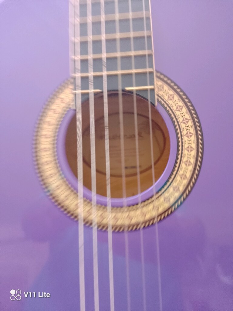 Masterwork gitar - 4