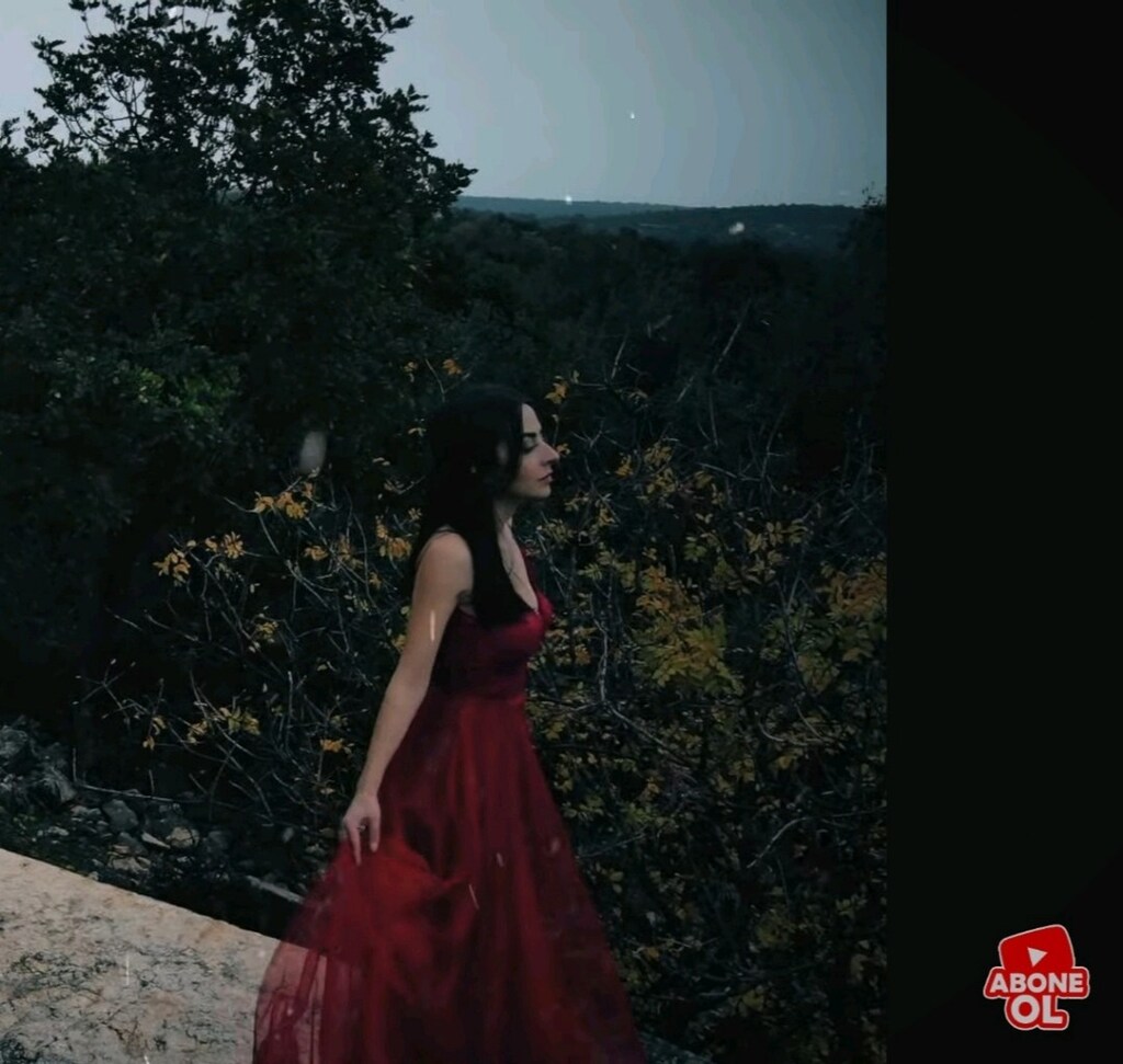 Gece elbisesi (özel dikim) - 7