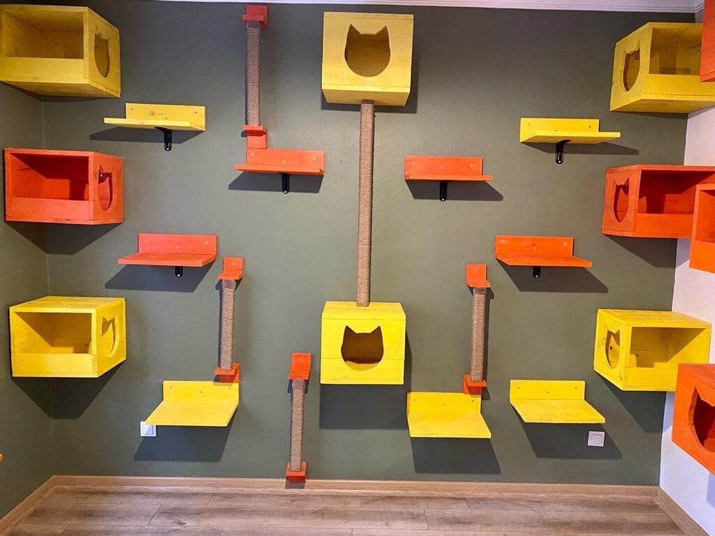 kedi platformu - 2