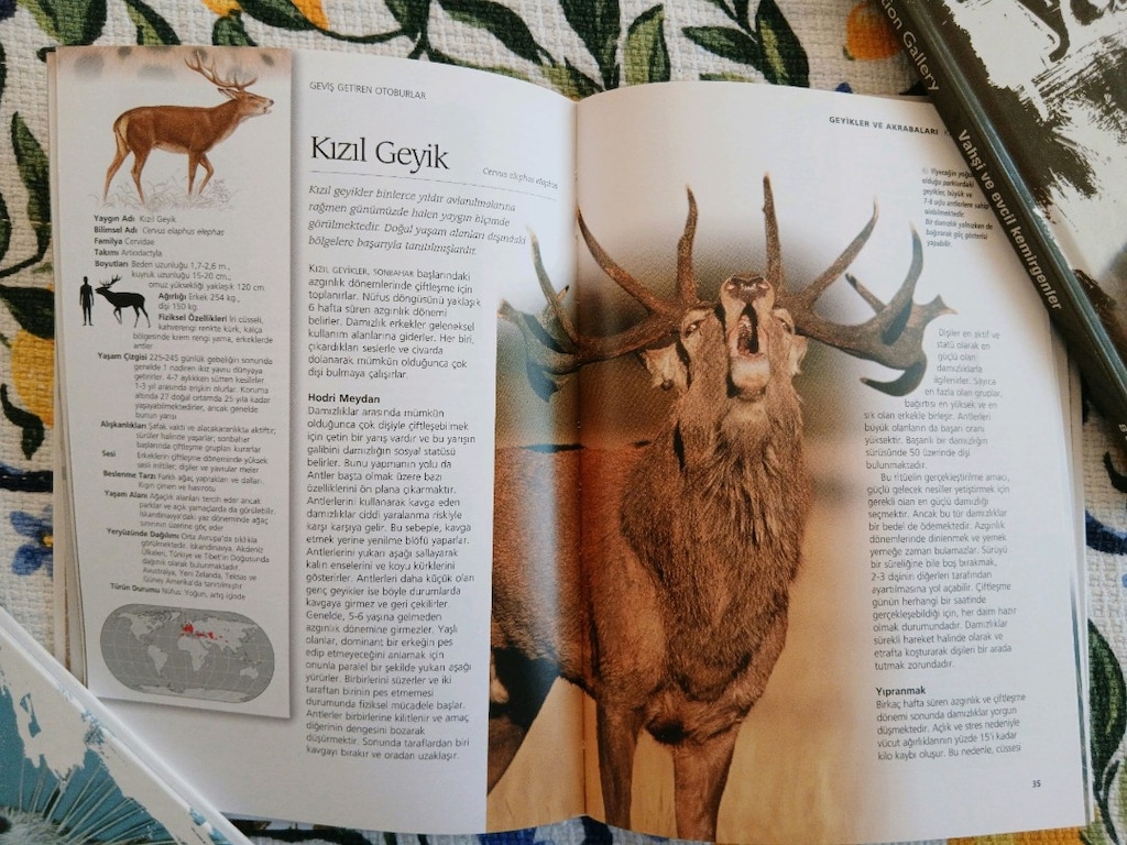 Vahşi Yaşam kitap seti - 8