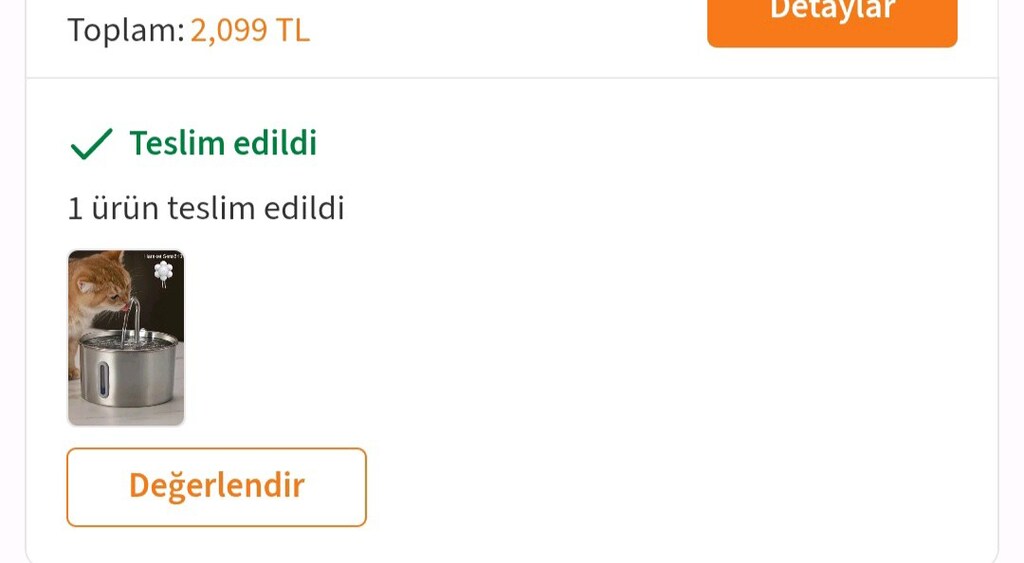 Kedi Su Sebili - 7
