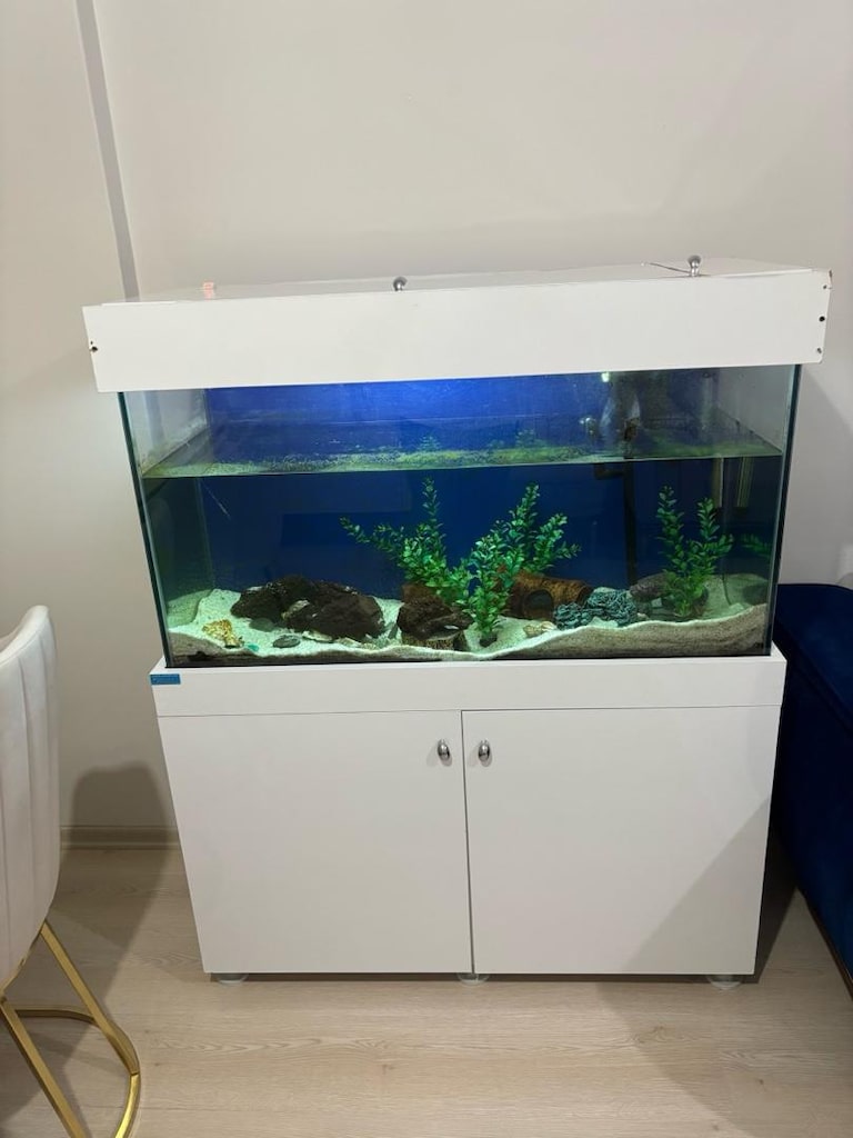 250 litre akvaryum - 3