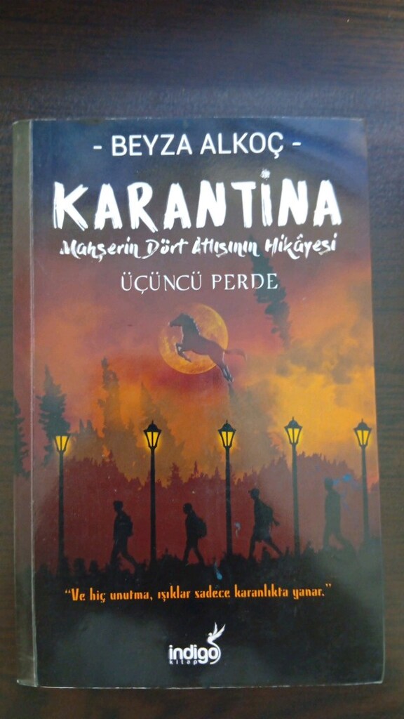 Karantina serisi Beyza Alkoç - 2