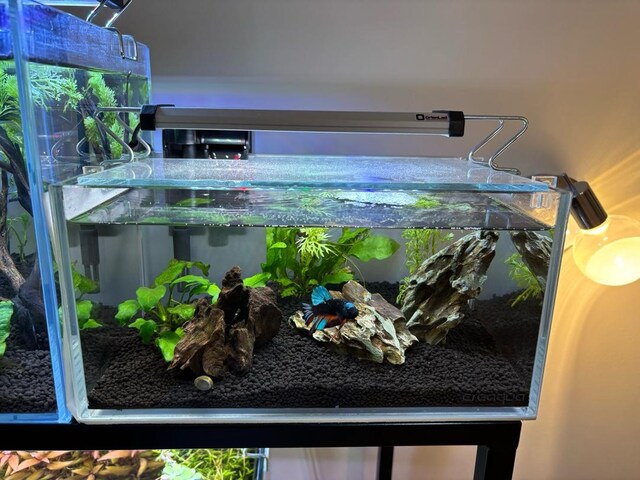 creaqua 30x20x15 tam set nano mini akvaryum