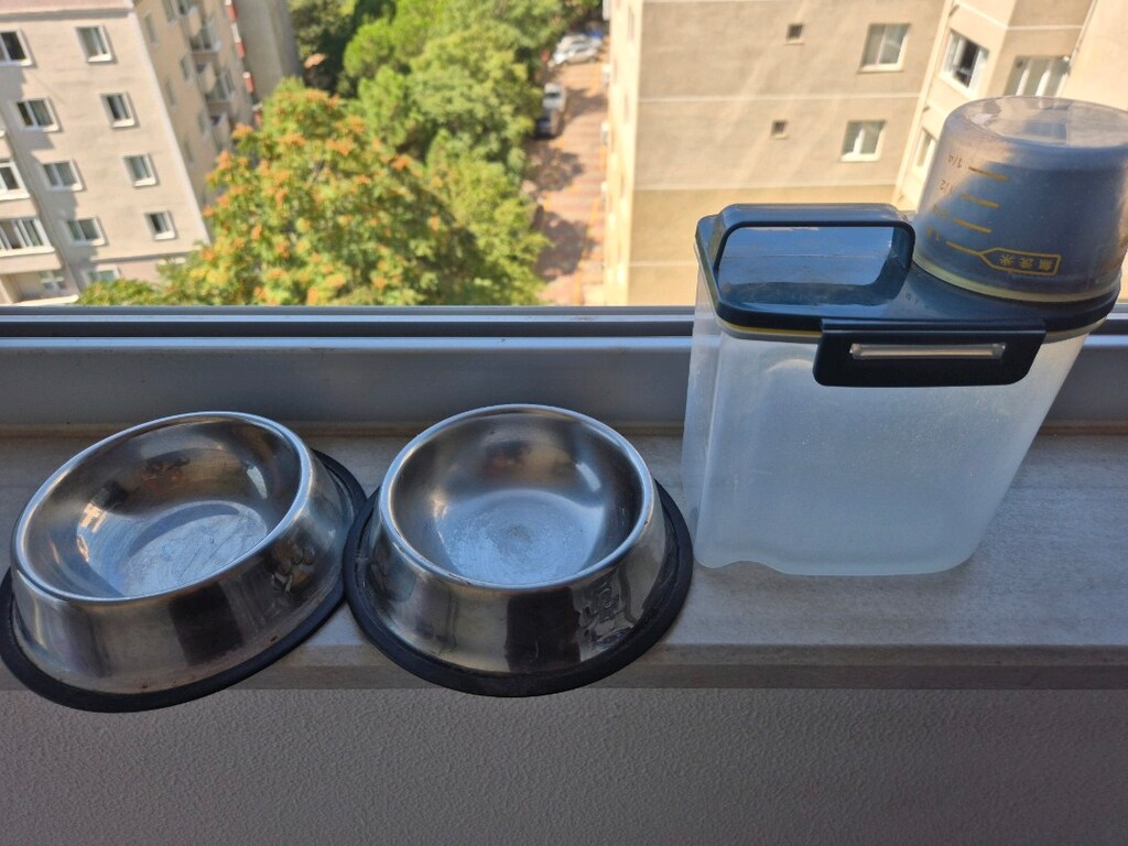 kedi için tam set - 7