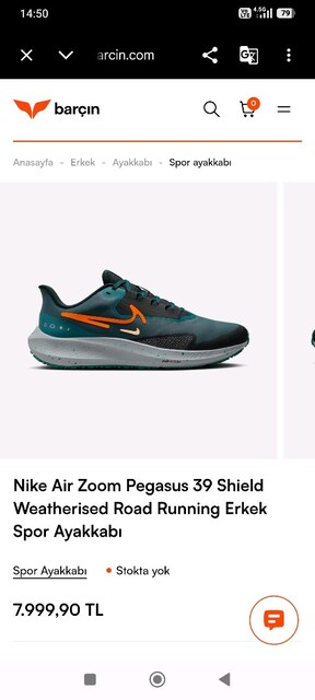 Nike Air Zoom Pegasus 39 Shield Weatherised Road Running Erkek Spor