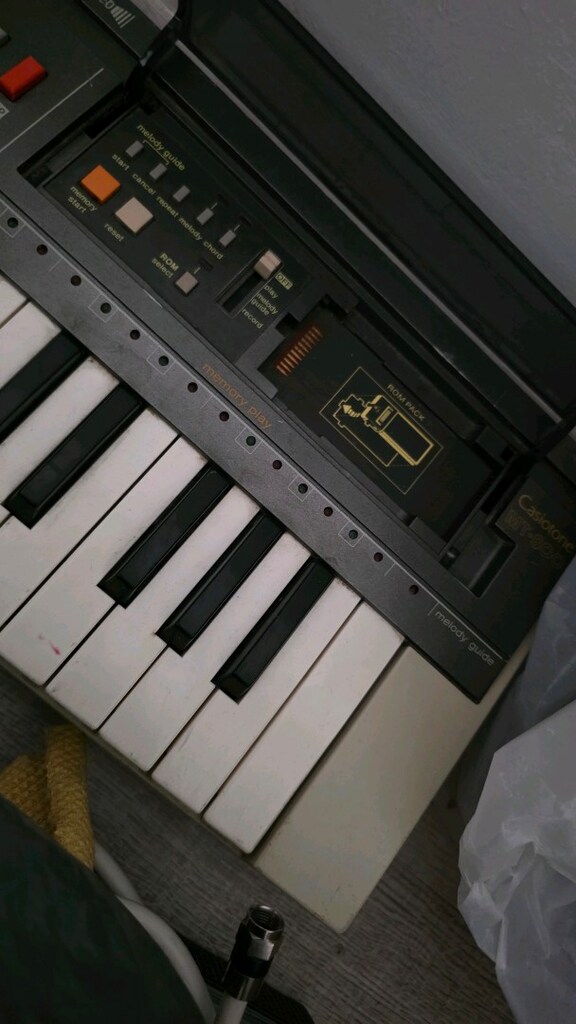 Casio Rom pack Casiotone orglar için hafıza kartı - 4