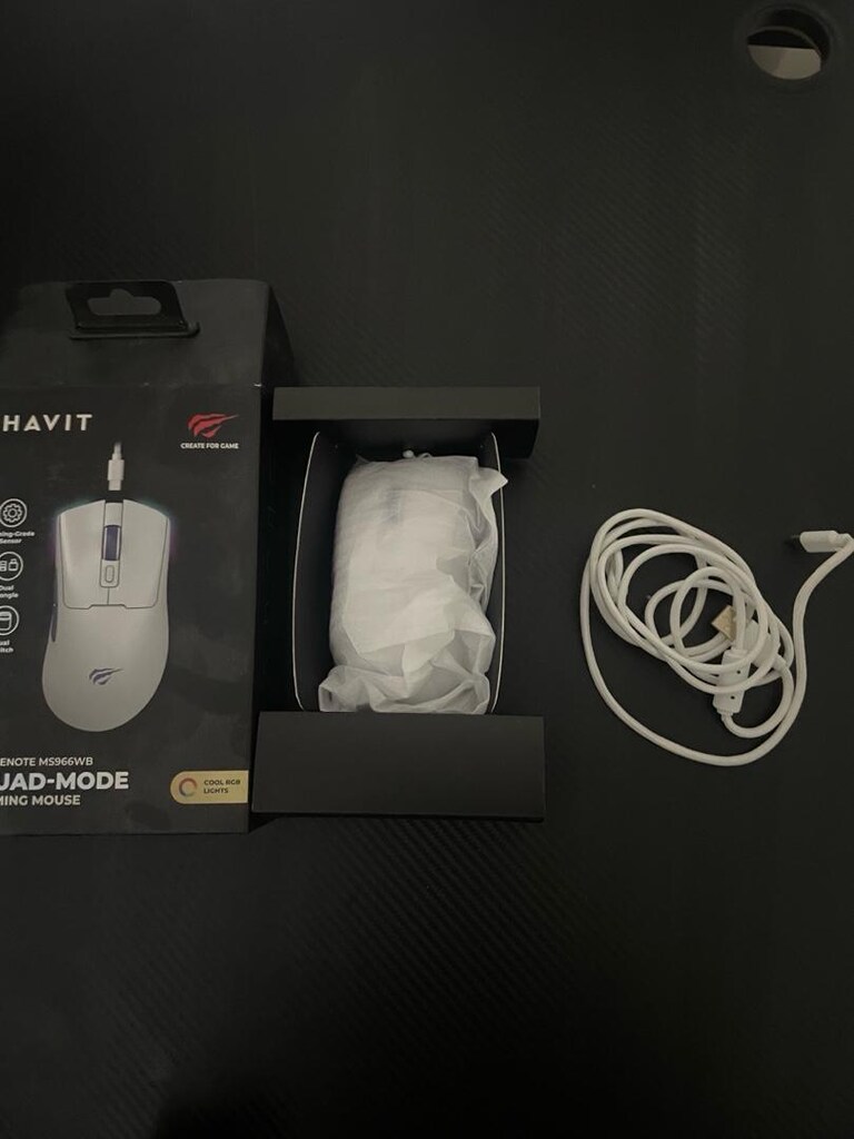 mouse - 2
