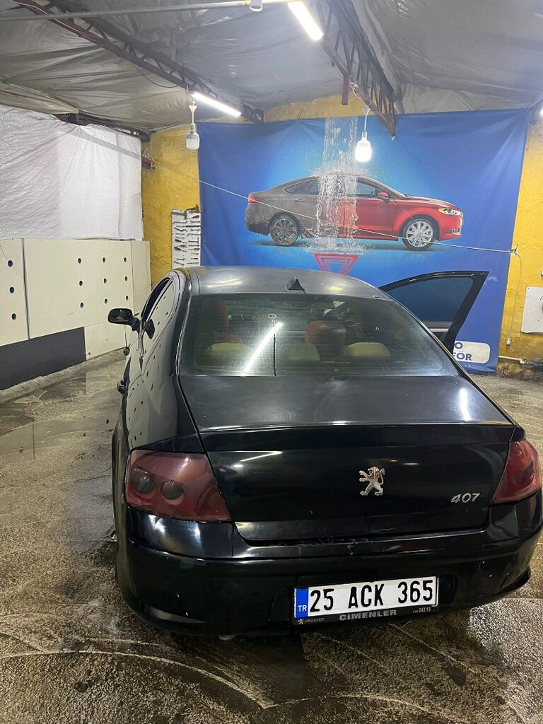 Peugeot 407 - 15