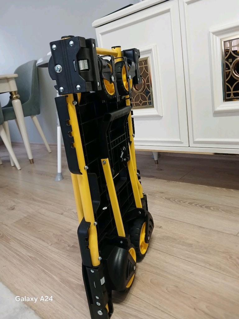 Stanley el arabası - 4