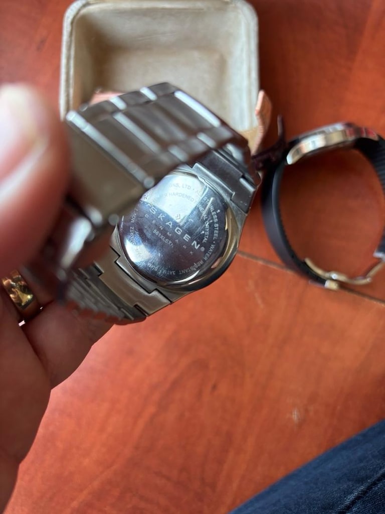skagen denmark saat - 4