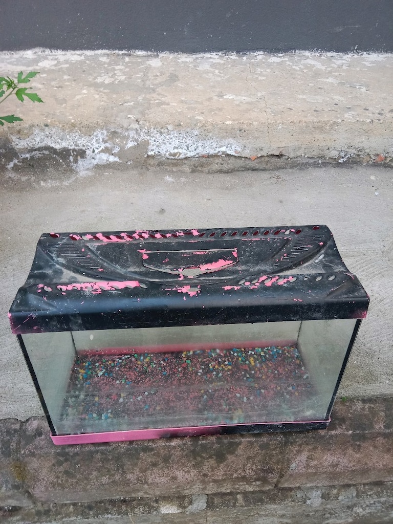 Akvaryum 51x33x20cm - 4