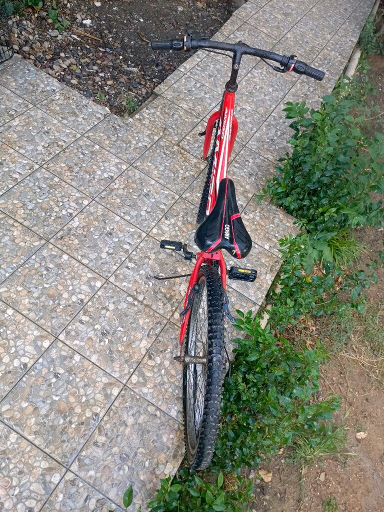 Amigo bisiklet - 3