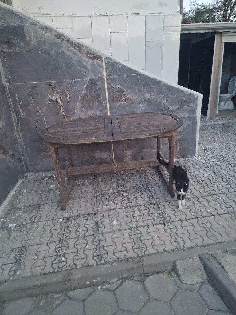 Gerçek tik ağacından 8 kişilik masa - 5