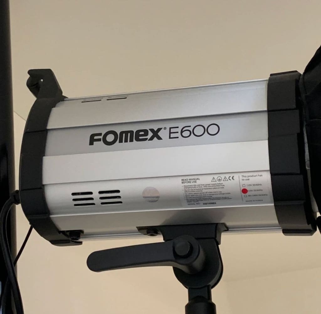 fomex 600 w paraflash + softbox + octagon softbox - 2