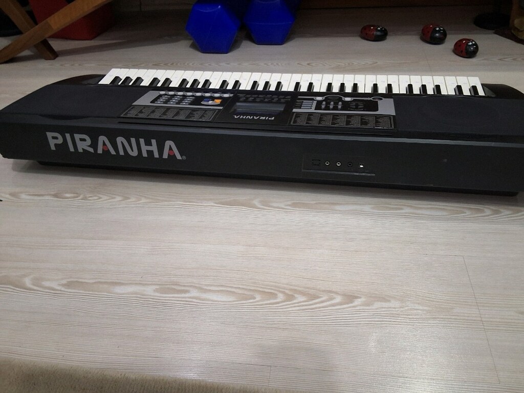 Piranha Acoustica W Type 61 Tuş Org - 4