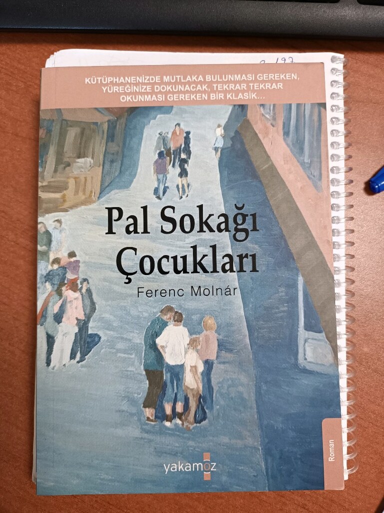 Pal sokağı çocukları
