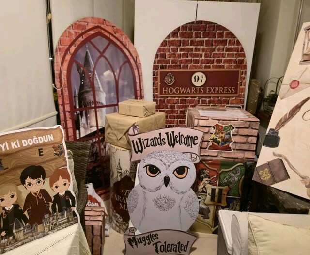 Harry potter dogum gunu konsepti