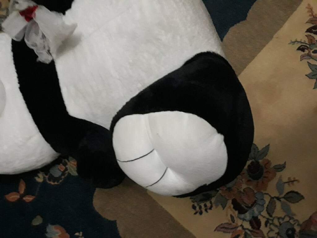 büyük panda ayı adres İstanbul Maltepe Fındıklı mahallesi - 7