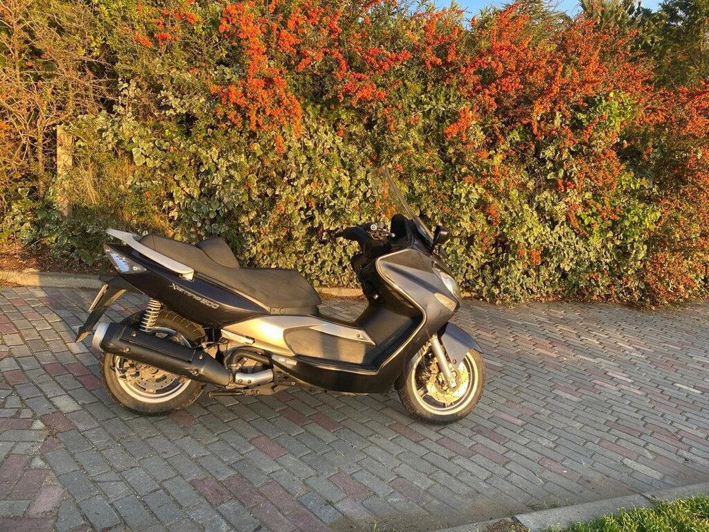 Xciting 500 motor - 11