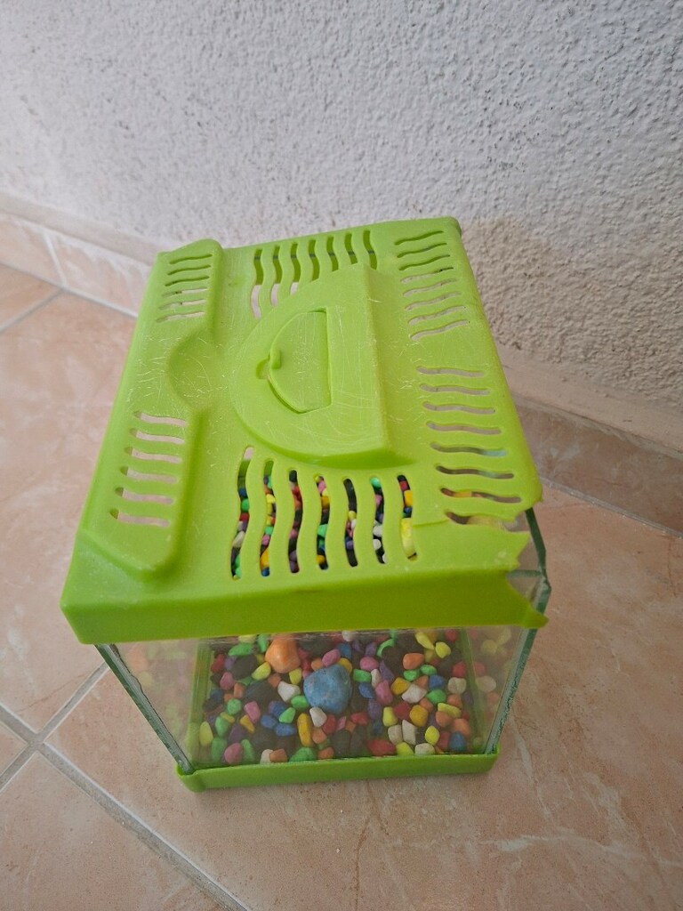 20 cm Akvaryum tasları ile birlikte - 4