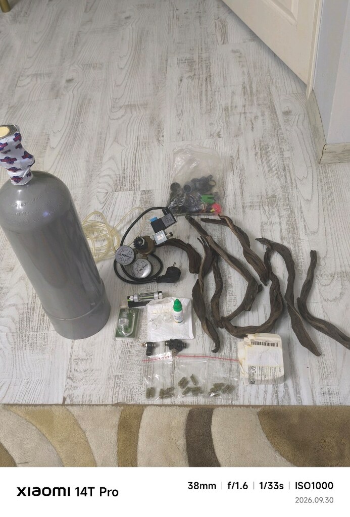 profesyonel bitki akvaryumu - 2
