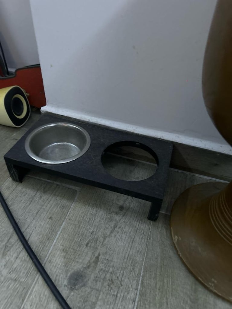 kedi çantası ve ürünleri - 9