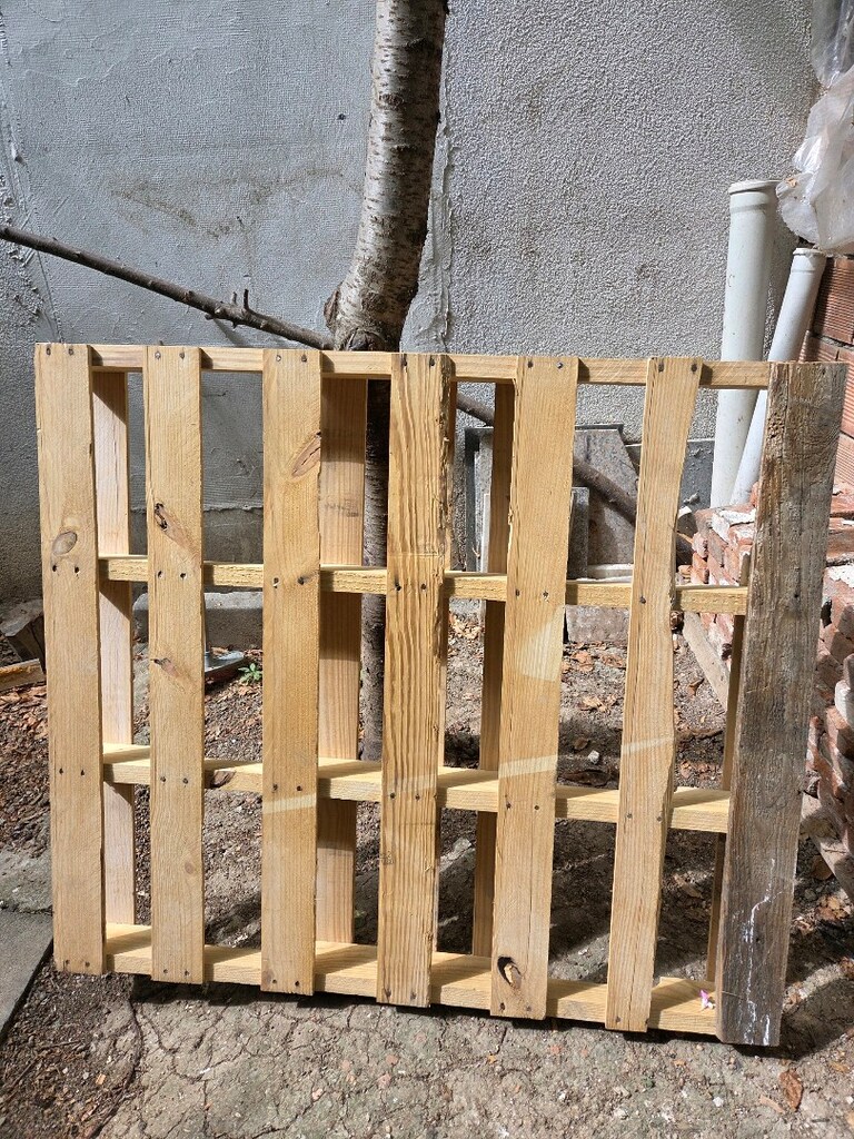 PALET - 3