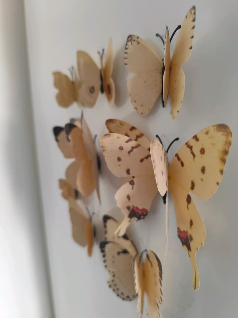 8 adet KELEBEK MAGNET BUZDOLABI SÜSÜ SET dekoratif - 2