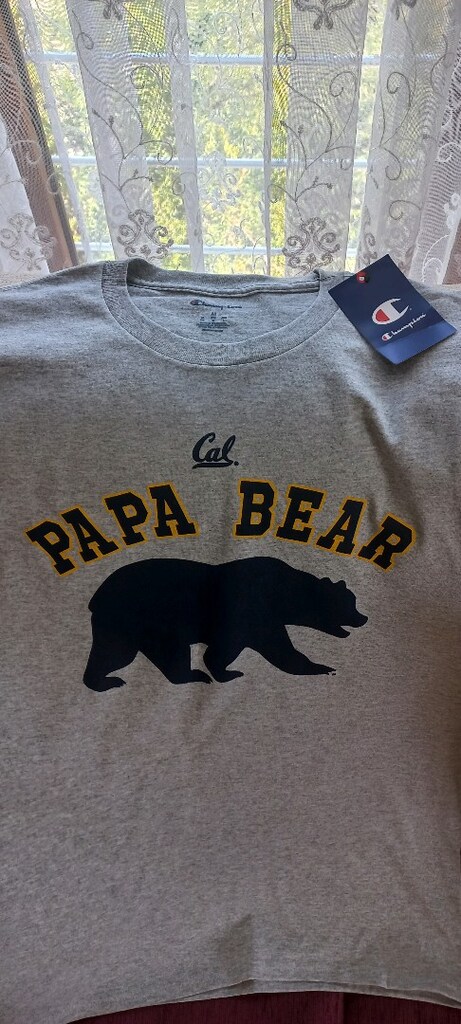Papa Bear Tişört - 3