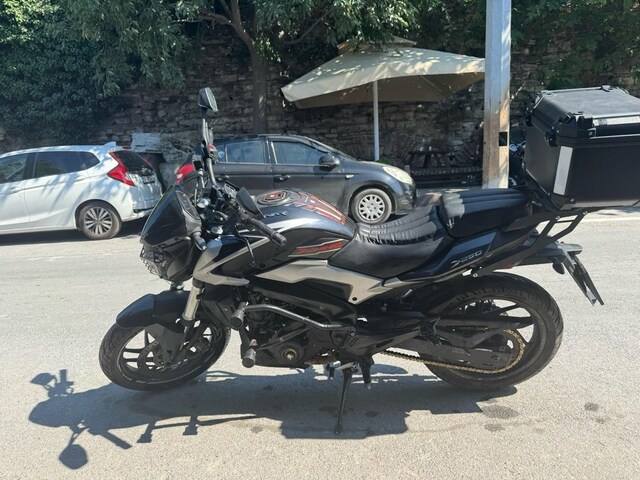 dominar 250 24 model
