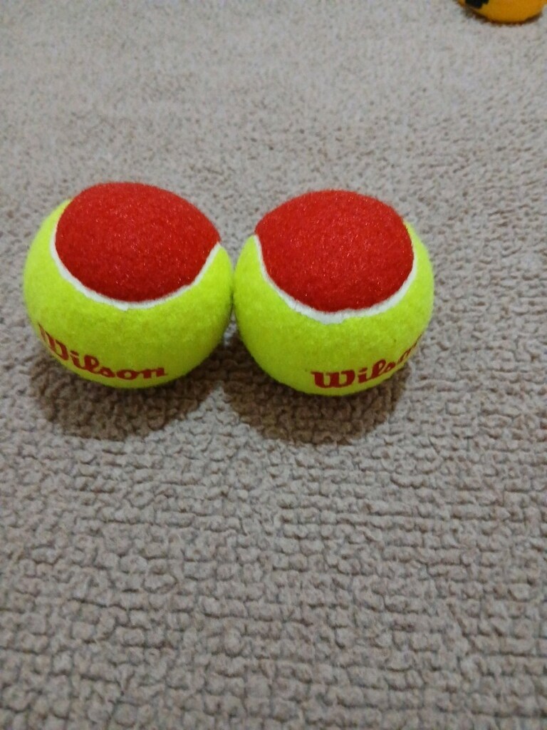 Wilson tenis topu - 2