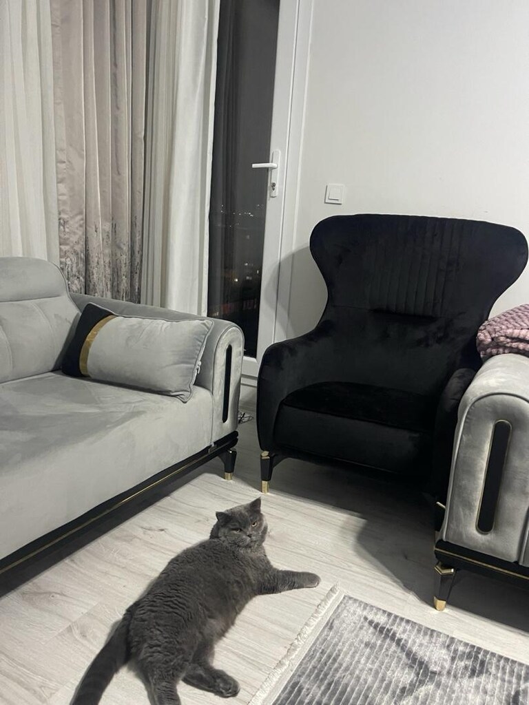 oturma odası ve yemek odası takımı - 2