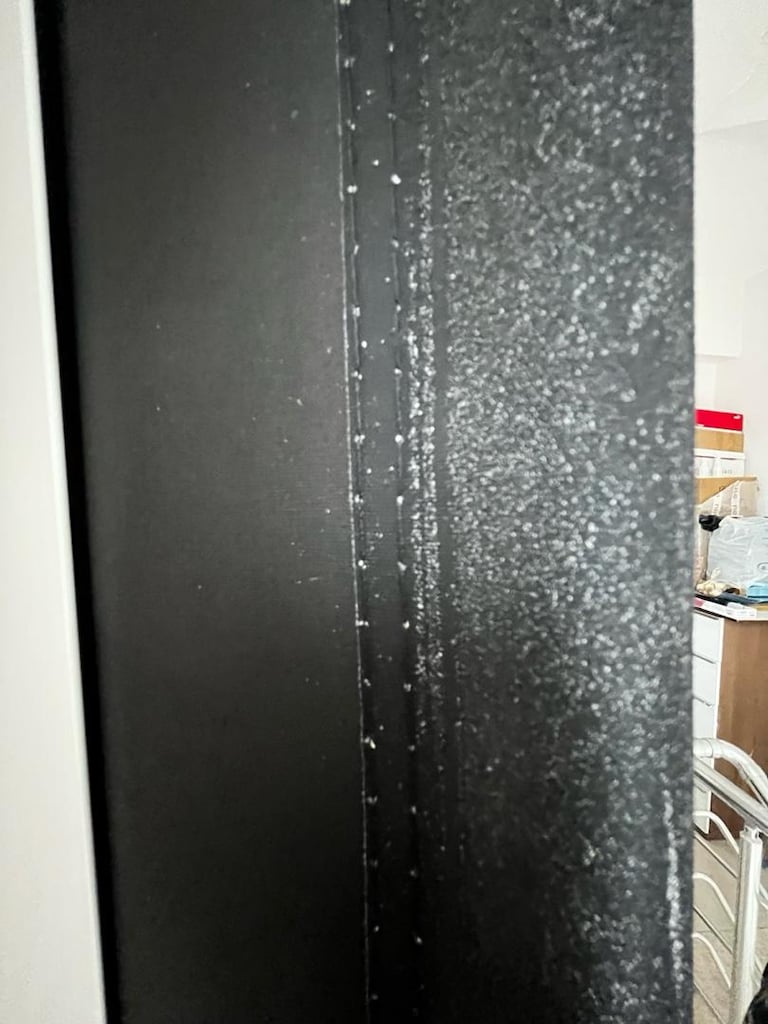 Codegen 200×200 cm Storlu Projeksiyon Perdesi - 6