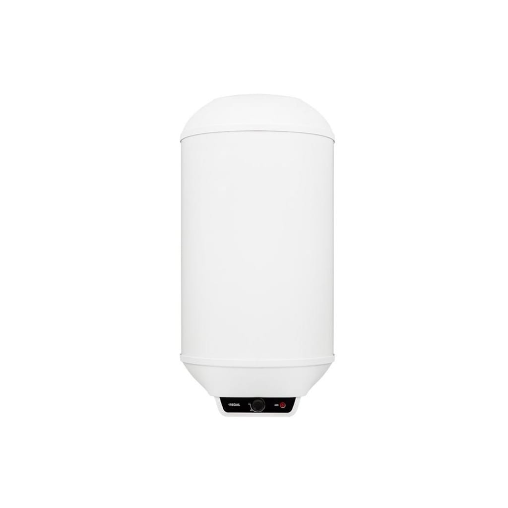Regal RGL 65 MS 65 Litre Termosifon – Sıfır Kapalı Kutu - 2