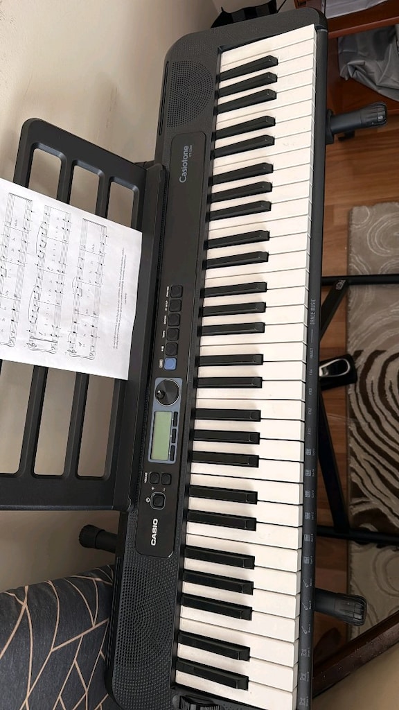 casio casiostone ct-s300 org - 5