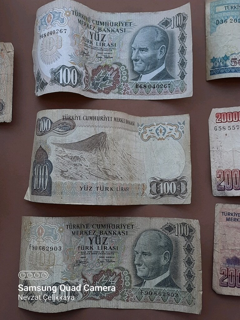 ESKİ TÜRK V YABANCI PARALAR (LÜTFEN AÇIKLAMAYI OKUYUNUZ) - 6