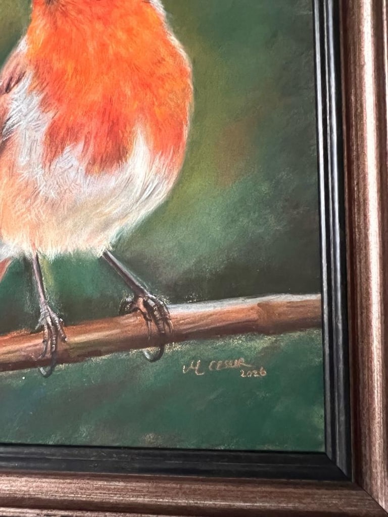 Orijinal Soft Pastel Kızılgerdan (Robin) Kuşu Tablosu 18x24 cm El Yapı - 7