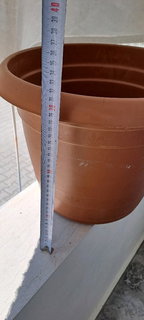 Büyük boy plastik saksı Adet 100tl - 5