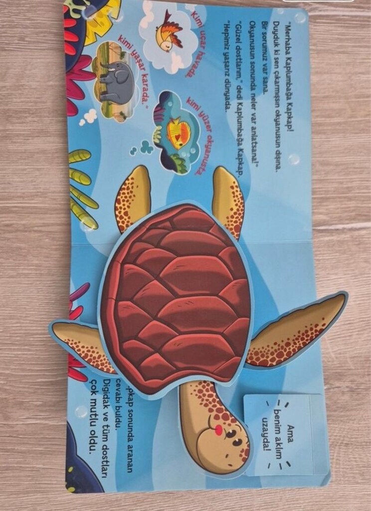 Pop-Up ile Keşfet Okyanus Yolculuğu Çocuk Kitabı - 3