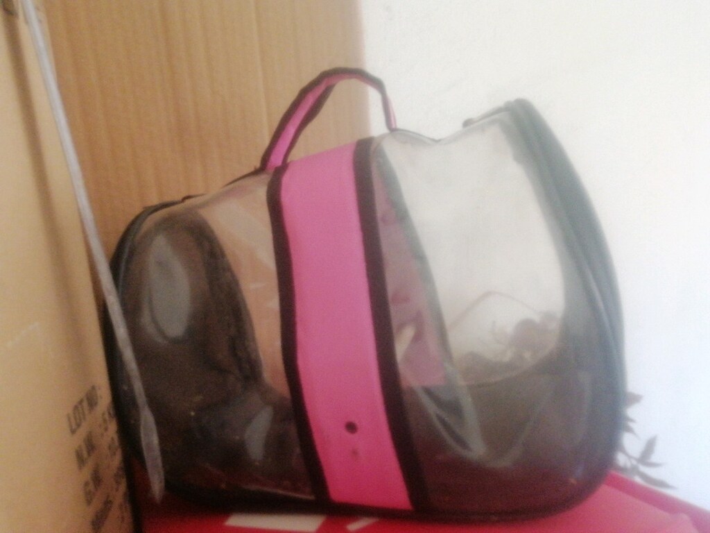 Kedi/kuş çantası - 3