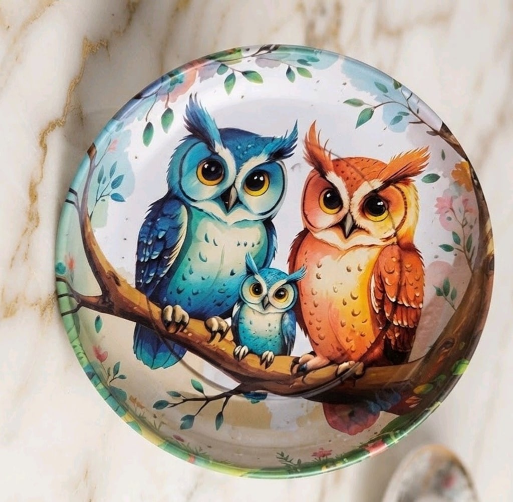 Baykuş Desenli Dekoratif Tabak 3lü (11cm) - 2