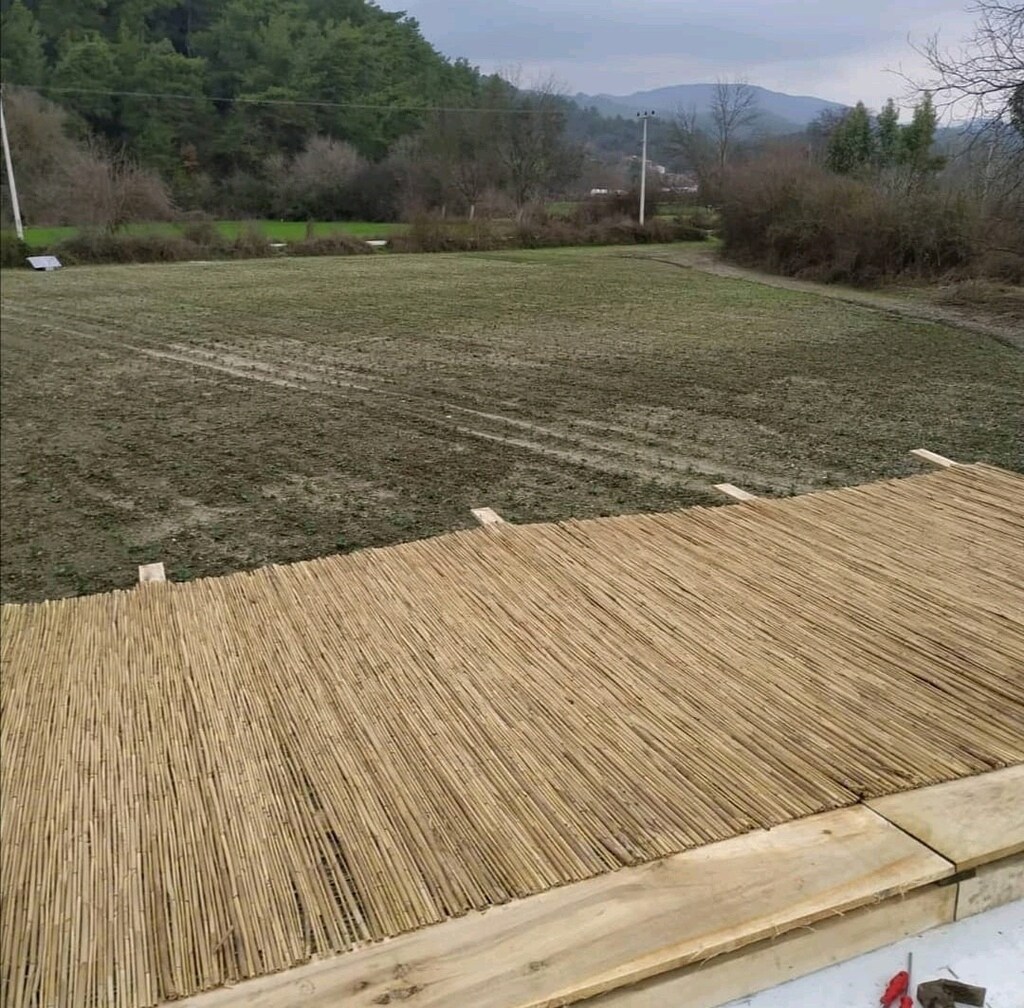 hasır kamış kargı çit - 2