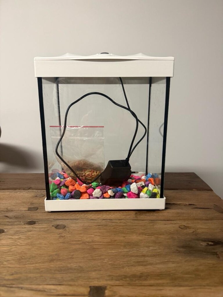 ışıklı akvaryum boyut 26x21x14 cm - 2