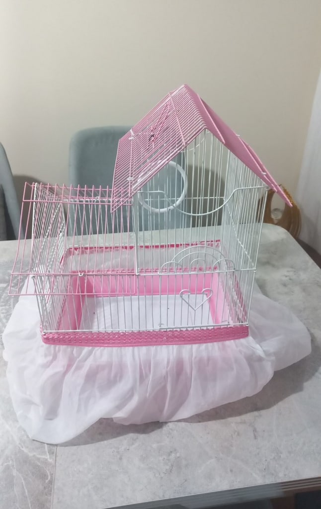 Pembe Beyaz Kuş Kafesi - 3