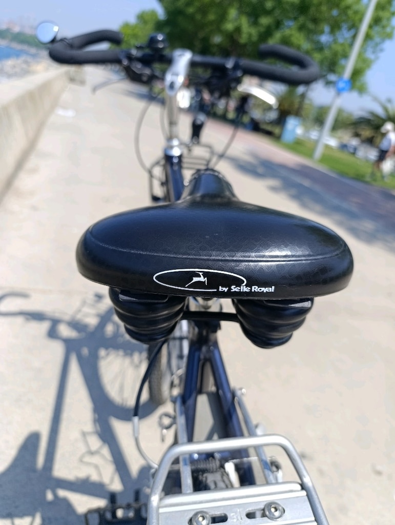 Koga Miyata distance şehir tur bisikleti - 6