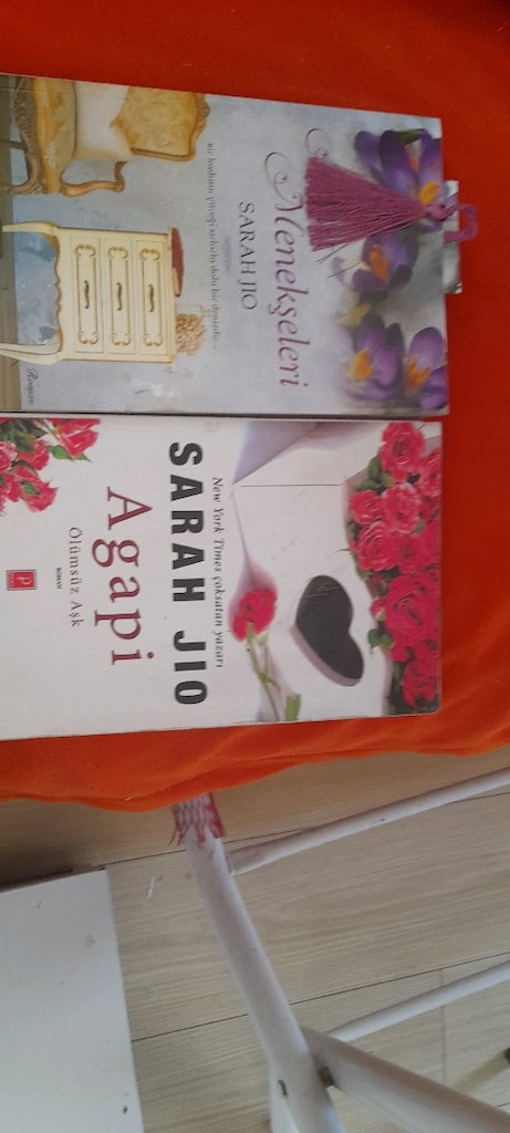 BÖĞÜRTLEN KIŞI,,AGAPI, MART MENEKŞELERİ SARAH JİO - 4