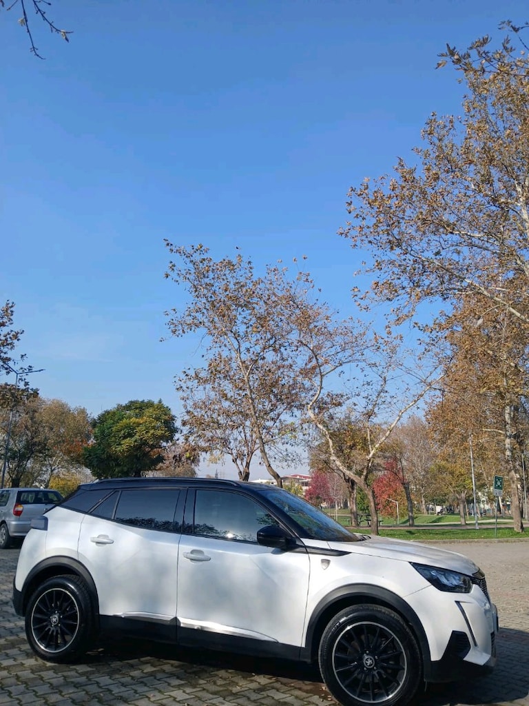 Peugeot 2008 dizel - 3